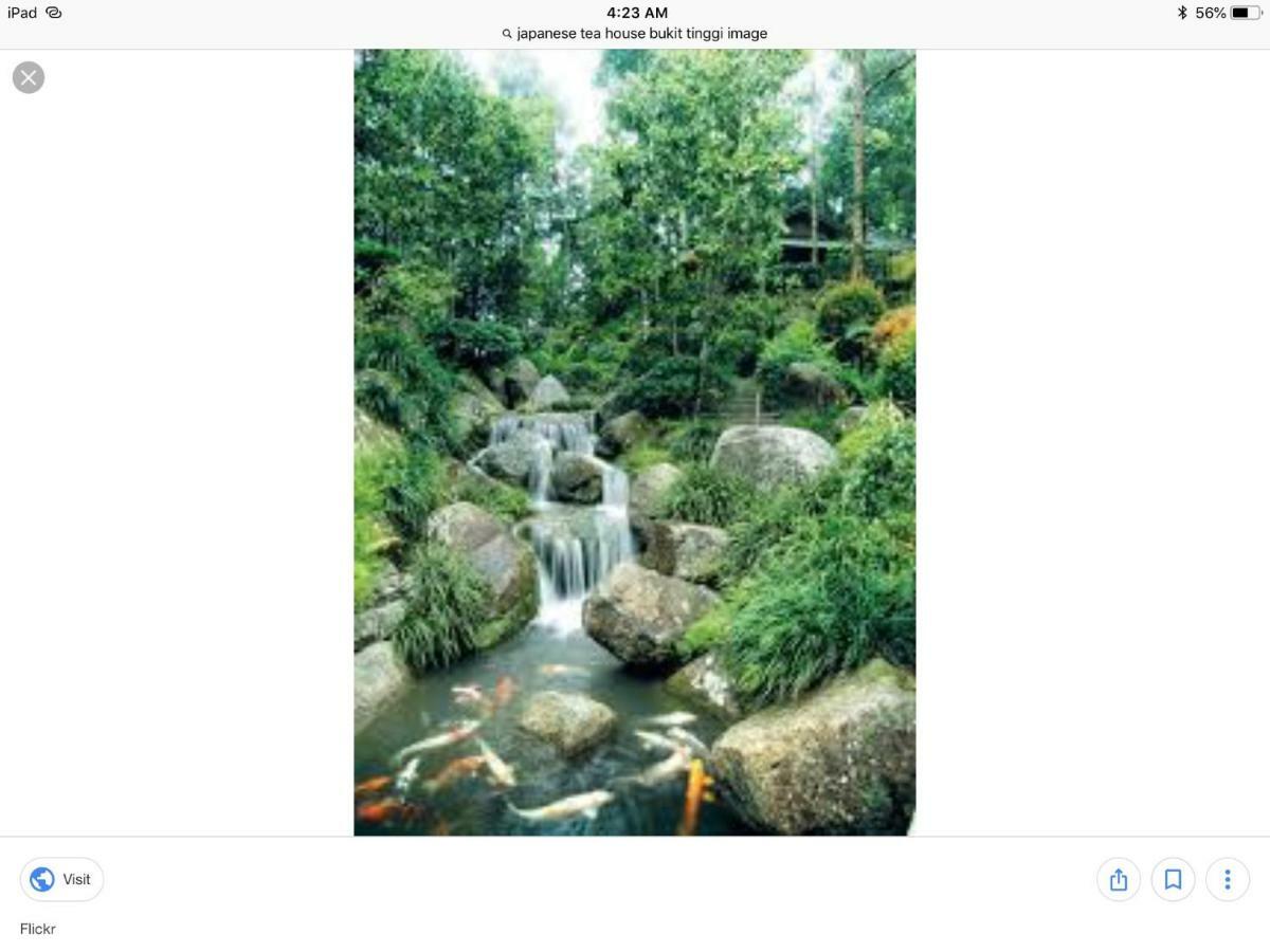 Bukit Tinggi Berjaya Hill Homestay Esterno foto